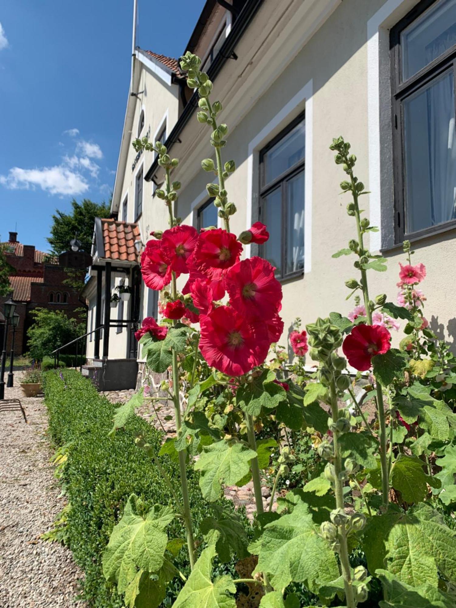 Hammenhoegs Gaestgivaregard Hammenhög Exterior foto